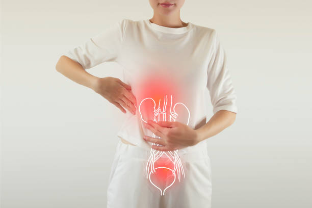 How To Use Kidney Cleanse Tea For Detox, How Long Does Kidney Detox Tea Take To Work, Is Kidney Cleanse Tea Safe For Daily Use