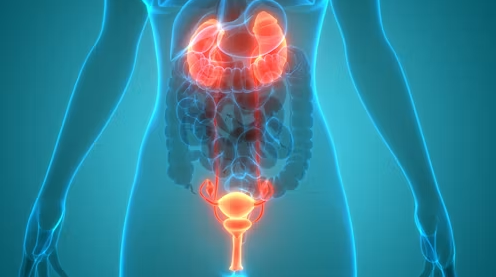 What Is Fruity Fibroid Blast Syrup, Benefits Of Fruity Fibroid Blast Syrup, How To Use Fruity Fibroid Blast Syrup, When Should I Take Fruity Fibroid Blast Syrup, How Often Should I Take Fruity Fibroid Blast Syrup