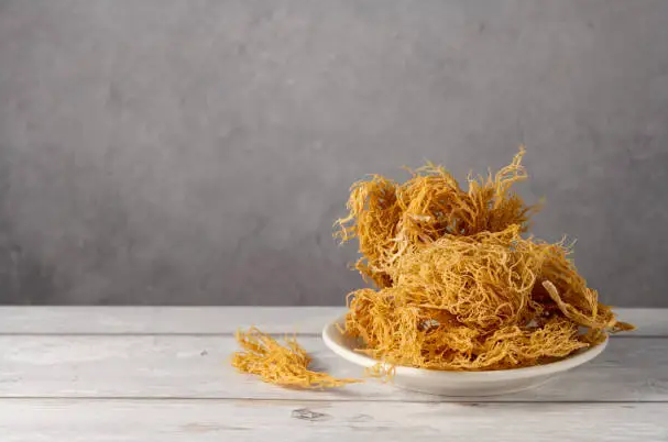 Benefits Of Dried Seamoss, Can Dried Seamoss help your prostate?, What does Dried Seamoss do for a woman?, What organs does Dried Seamoss help?, Who should not drink dried Seamoss?, What should you not mix with Dried Seamoss?, Does Dried Seamoss flatten your stomach?, How long does it take for Dried Seamoss to start working in your body?, Does Dried Seamoss help with fertility?
